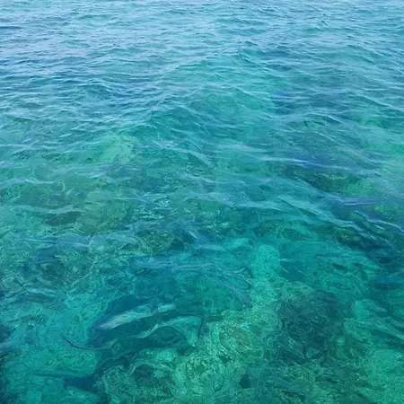 Casetta Via Brindisi דירה *