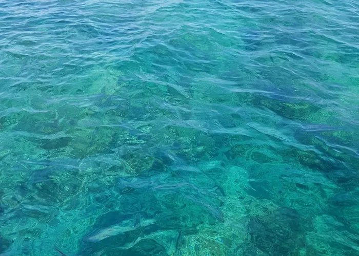 Casetta Via Brindisi Apartment *